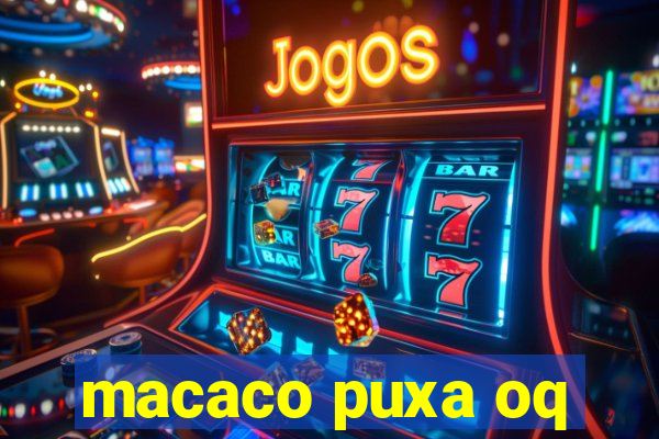 macaco puxa oq